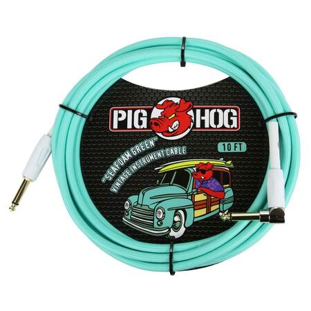 ACE PRODUCTS GROUP Woven Jacket Tour Grade Instrument Cable, 10 ft. - Seafoam Green PCH10SGR